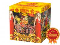 Красивая жизнь Фейерверк