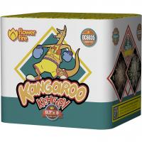 Кенгуру Фейерверк