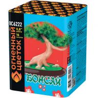 Бонсай Фейерверк